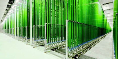フォトバイオリアクターによる工業用藻類生産