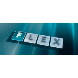 FLEX:Fセグメントにフォーカス