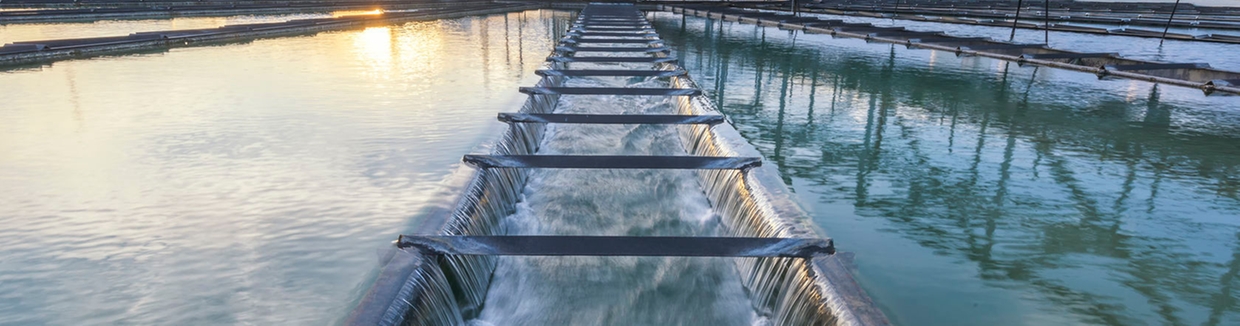 Process Solutions for the Water & Wastewater industry