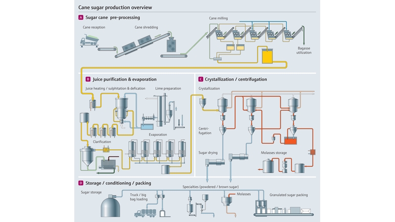 Sugar cane manufacturing process