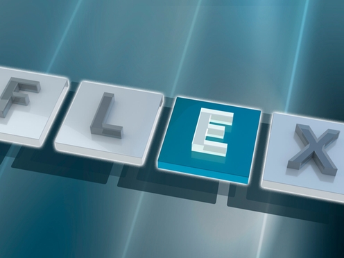 FLEX: Extended FLEX: Extended