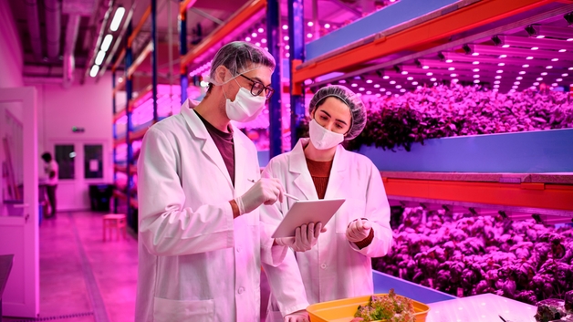 pH measurement in a smart vertical farming plant to guarantee best quality food