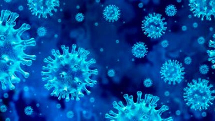 排水中のSARS Cov-2ウイルスを検出し、確実な予測を行う。