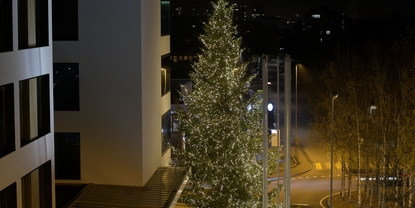 Reinach（ライナッハ）のEndress+Hauser社にはクリスマスツリーが輝きます