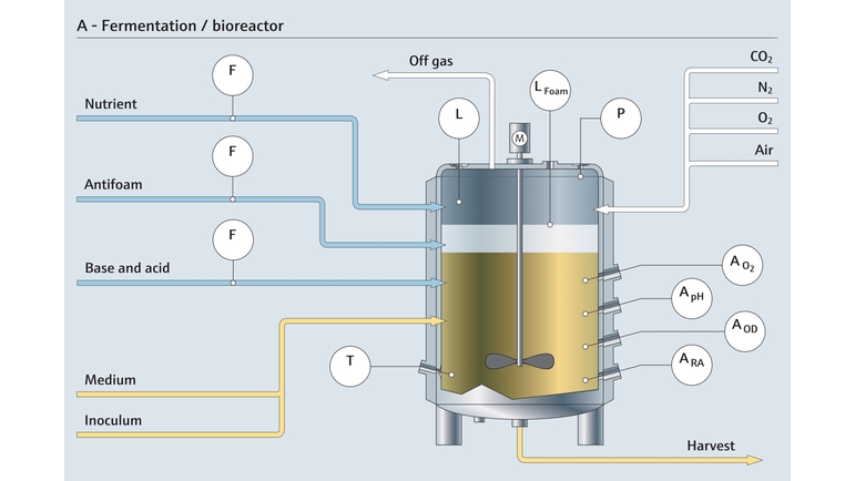 バイオリアクターでの発酵と関連する測定点