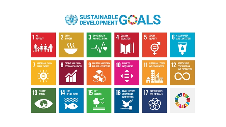 Sustainable development goals of the United Nations